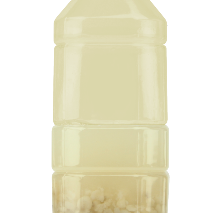 清潤薏米水